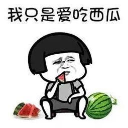 娱乐是个圈不是吃瓜,互动共生,共筑美好生态